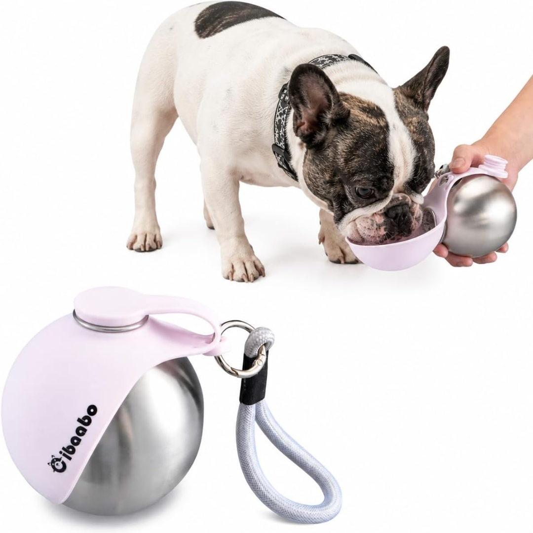 Portable Dog Water Bottle & Travel Bowl