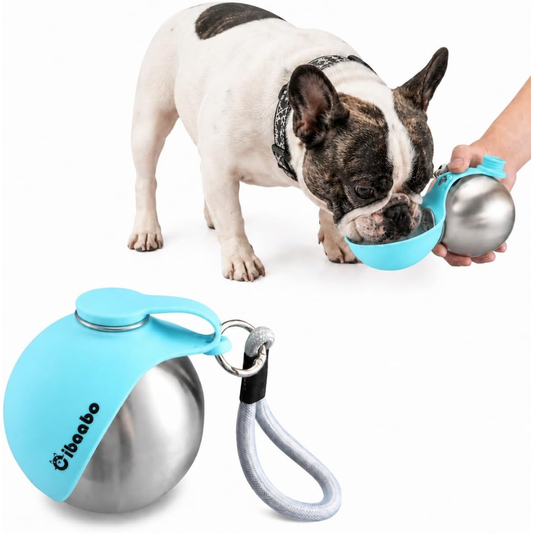 Portable Dog Water Bottle & Travel Bowl